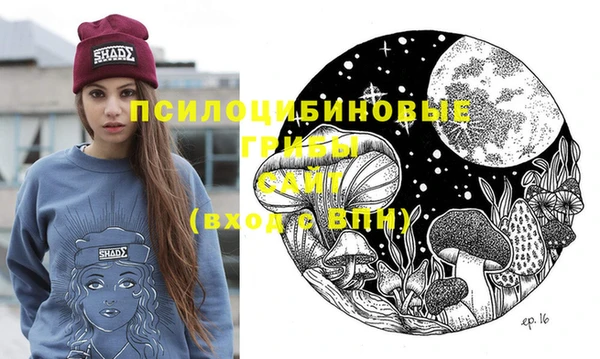 ешки Володарск