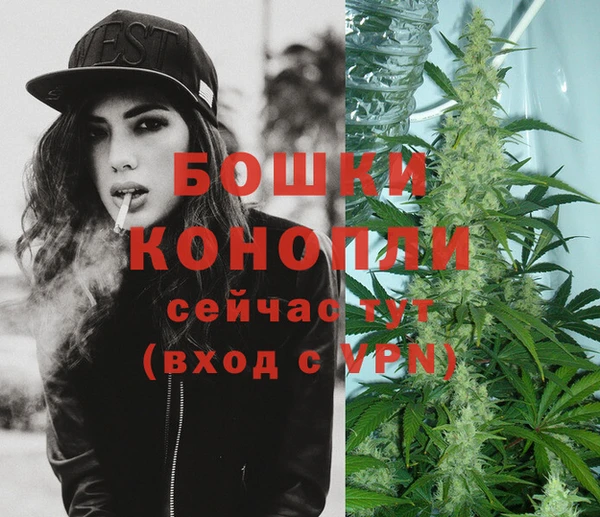 ешки Володарск