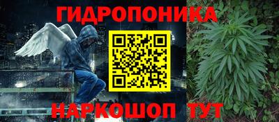 стафф Балаково