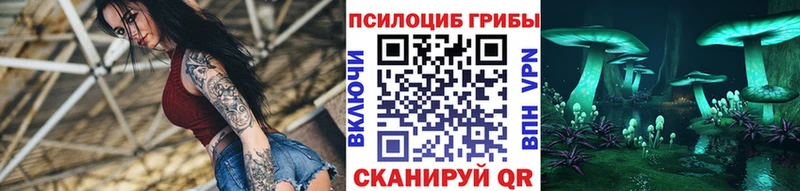 Псилоцибиновые грибы мицелий  продажа наркотиков  Всеволожск 