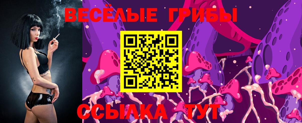Псилоцибиновые грибы MAGIC MUSHROOMS  Галлюциногенные грибы Cubensis  Всеволожск  Вход с VPN 